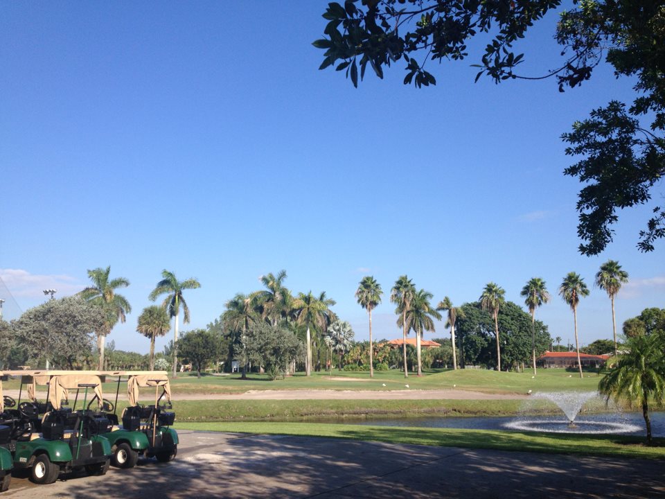 Golf course with fountain and row of golf carts
