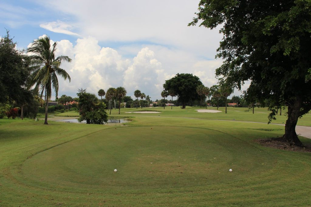 Golf course hole with trees