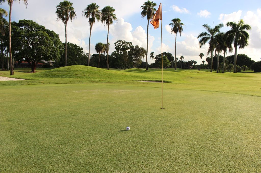 Golf course hole with flag above hole and golf ball near hole 