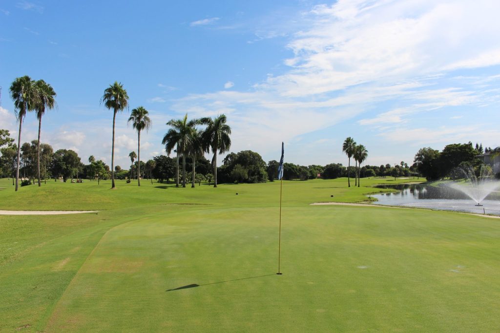 Blue flag above hole on golf course