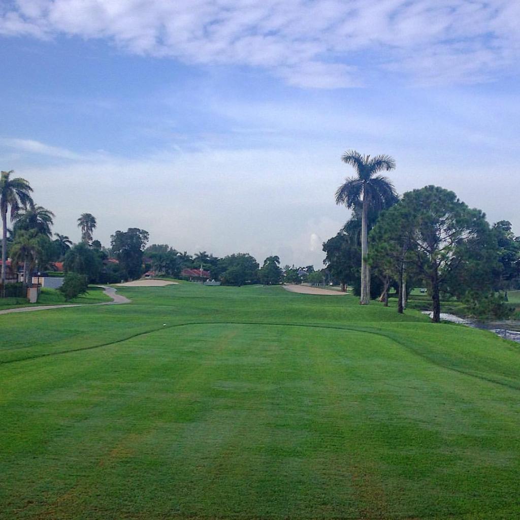 Golf course manicured greens