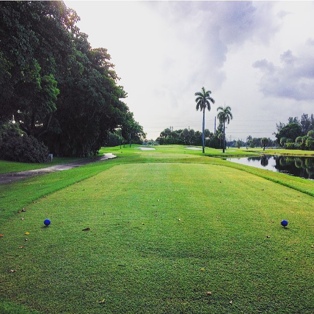 Golf course hole with blue tees